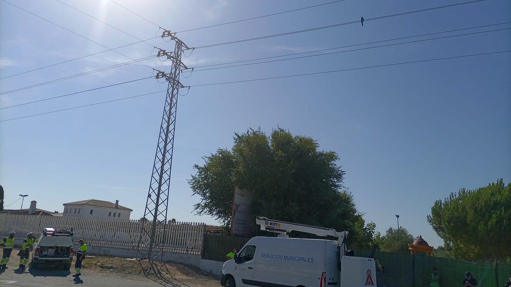 La grúa municipal esperando que corten la tensión para poder recuperar al guacamayo.