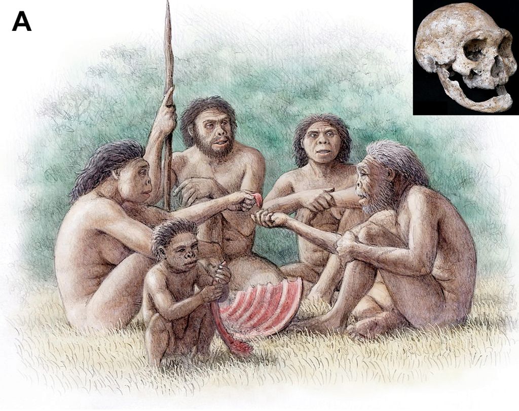 Homínidos de Dmanisi que cuidan y alimentan a un anciano desdentado.