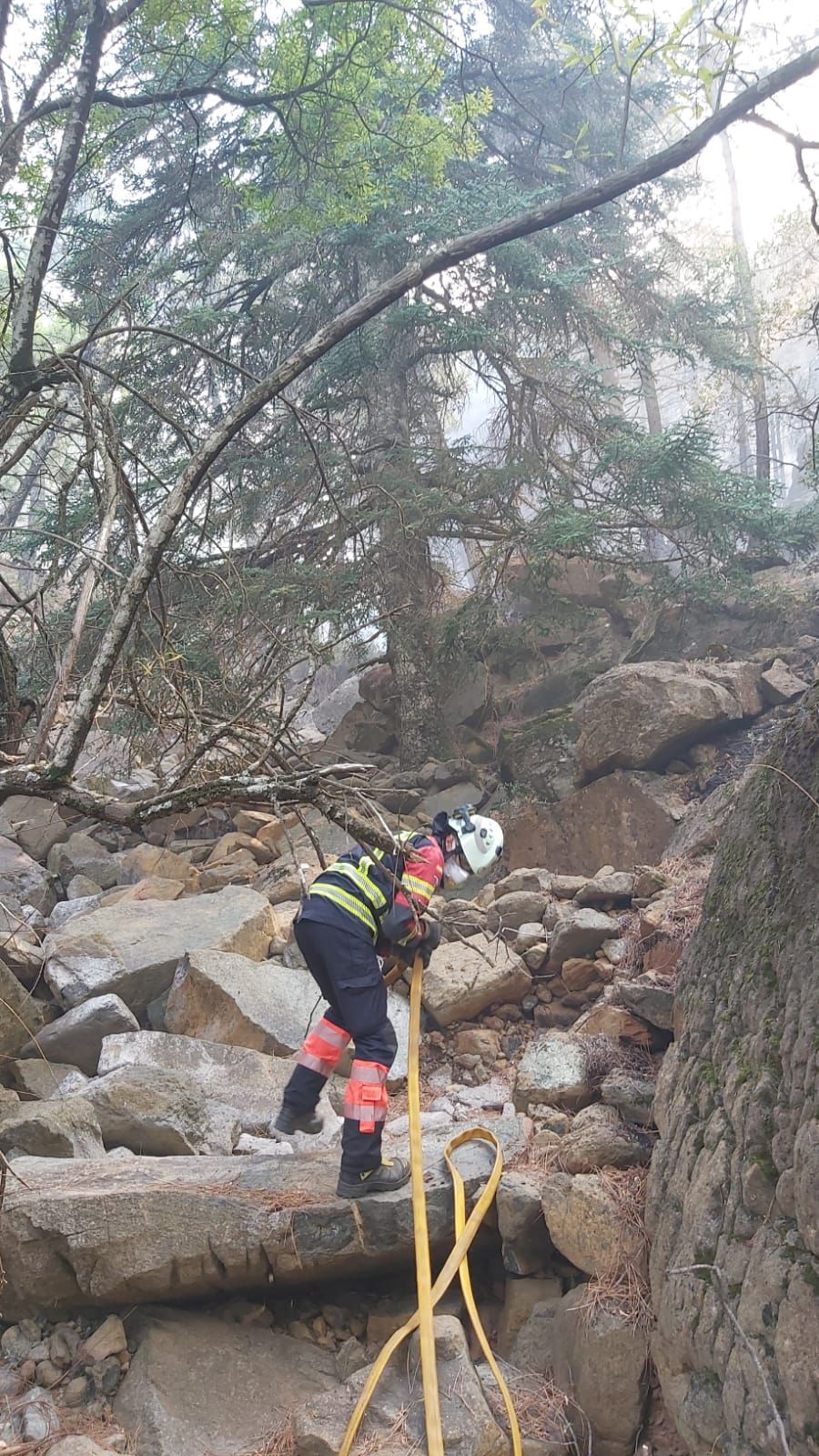 BOMBERO TRABAJANDO PARA SALVAR PINSAPOS EN ESTEPONA.