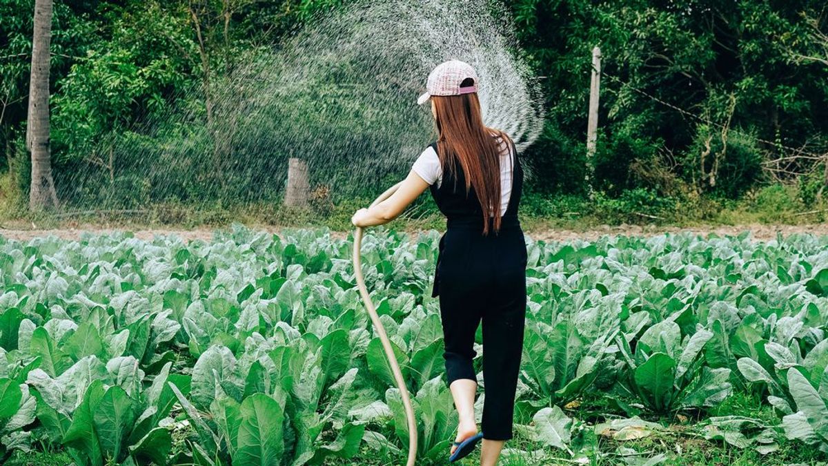Qué es exactamente el estrés térmico, el gran problema de los trabajadores durante las horas de calor Qué es exactamente el estrés térmico, el gran problema de los trabajadores durante las horas de calor