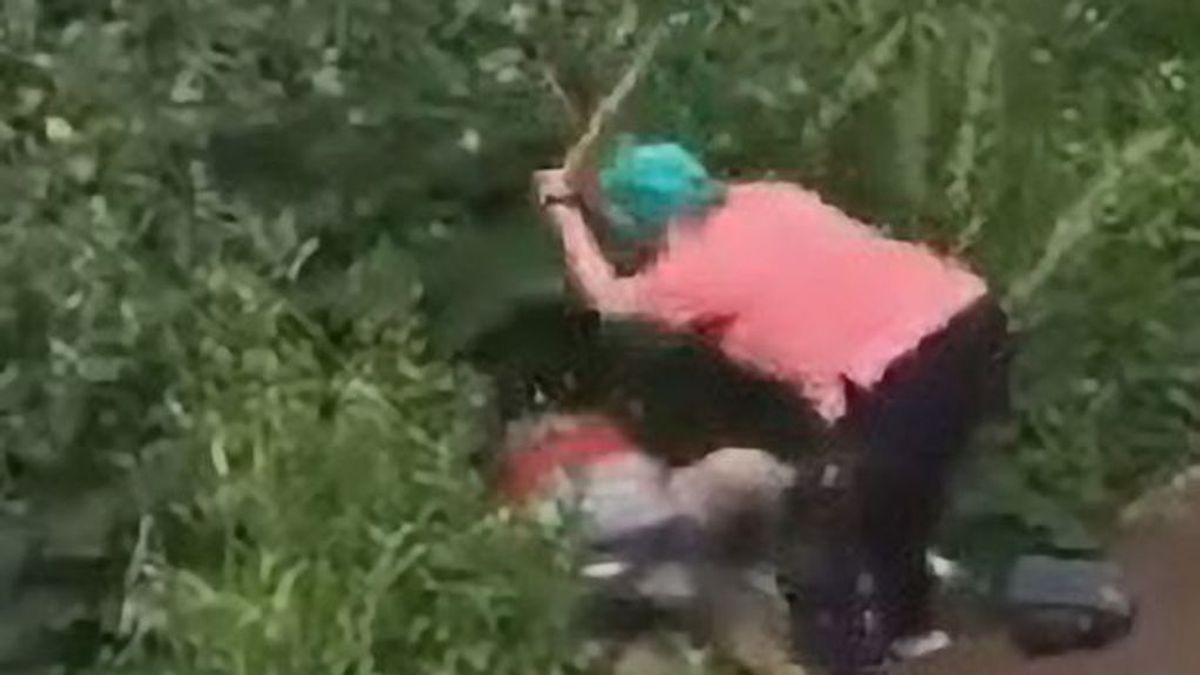 Una mujer se lía a golpes con una pareja que practicaba sexo entre unos arbustos