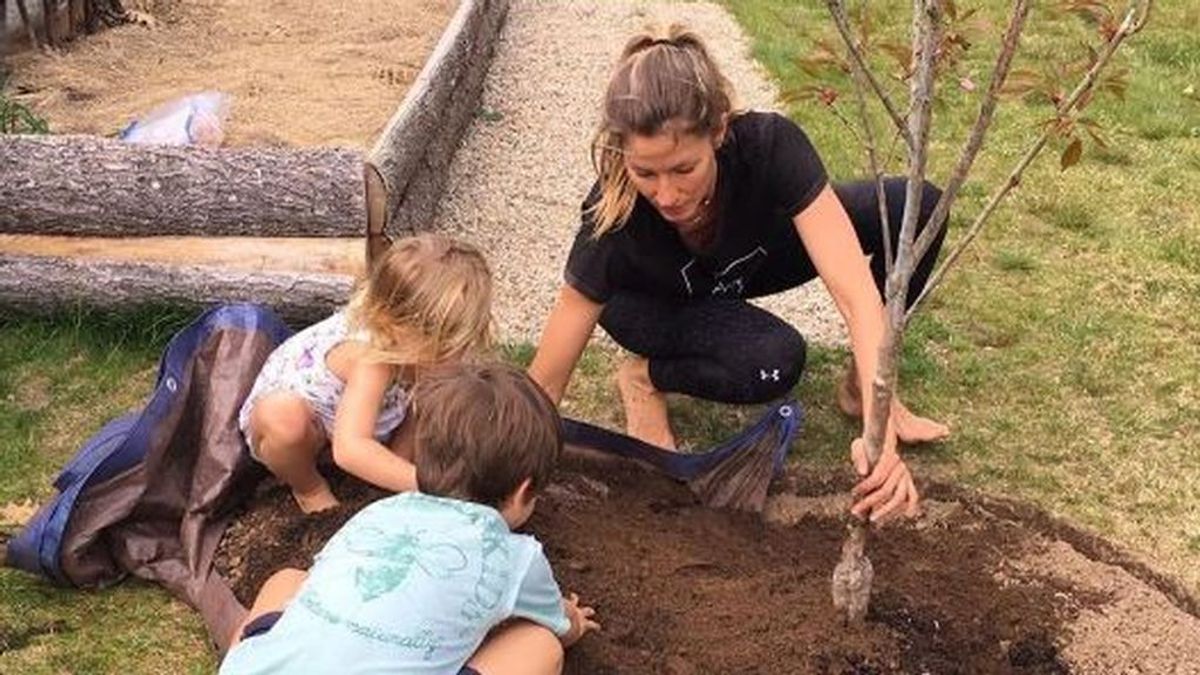 Gisele Bündchen planta 40.000 árboles por su cumpleaños: la iniciativa con la que quiere salvar la Amazonia