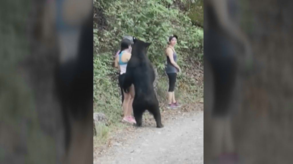 Una turista se hace un 'selfie' con un oso negro en México