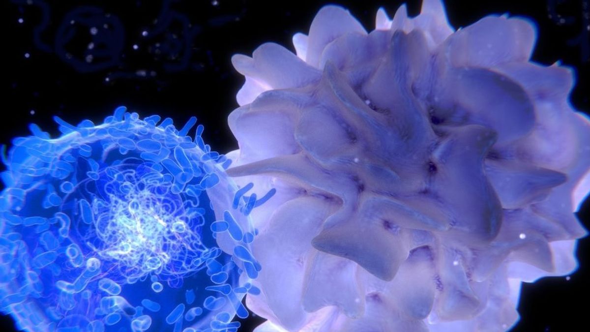 Las células T, las "asesinas del coronavirus" presentes en la súper vacuna de la Universidad de Oxford