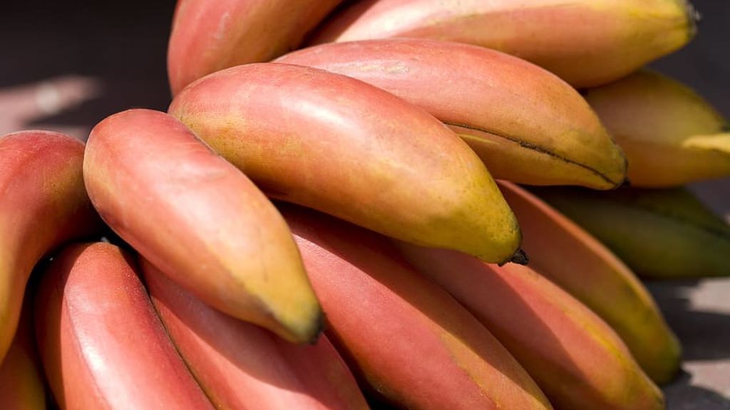 Huevos verdes, plátanos rojos y otros alimentos inusuales con los que sorprender a tus nietos en una comida familiar