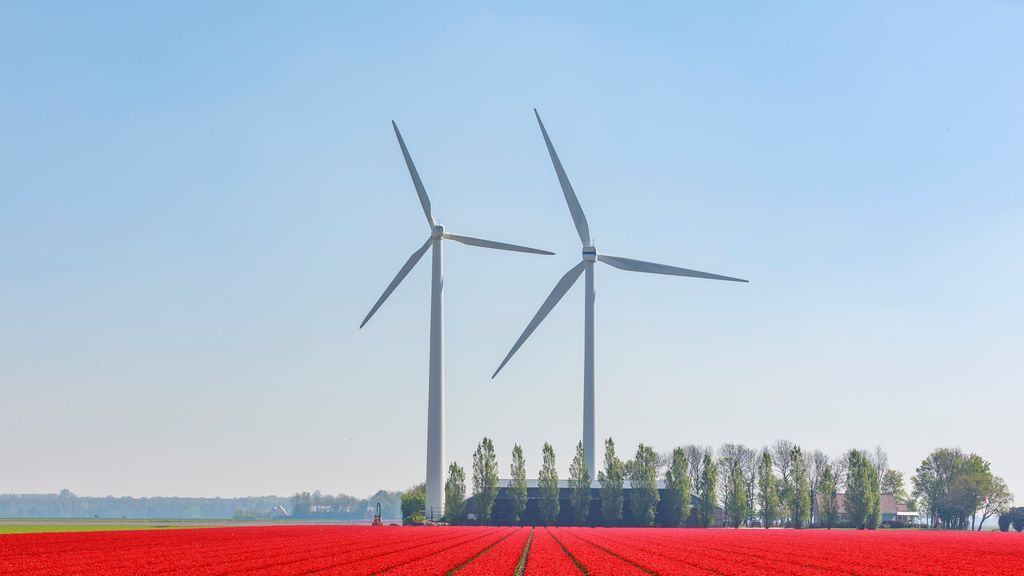 La implantación de energías renovables, el gran reto del siglo XXI para salvar nuestro planeta