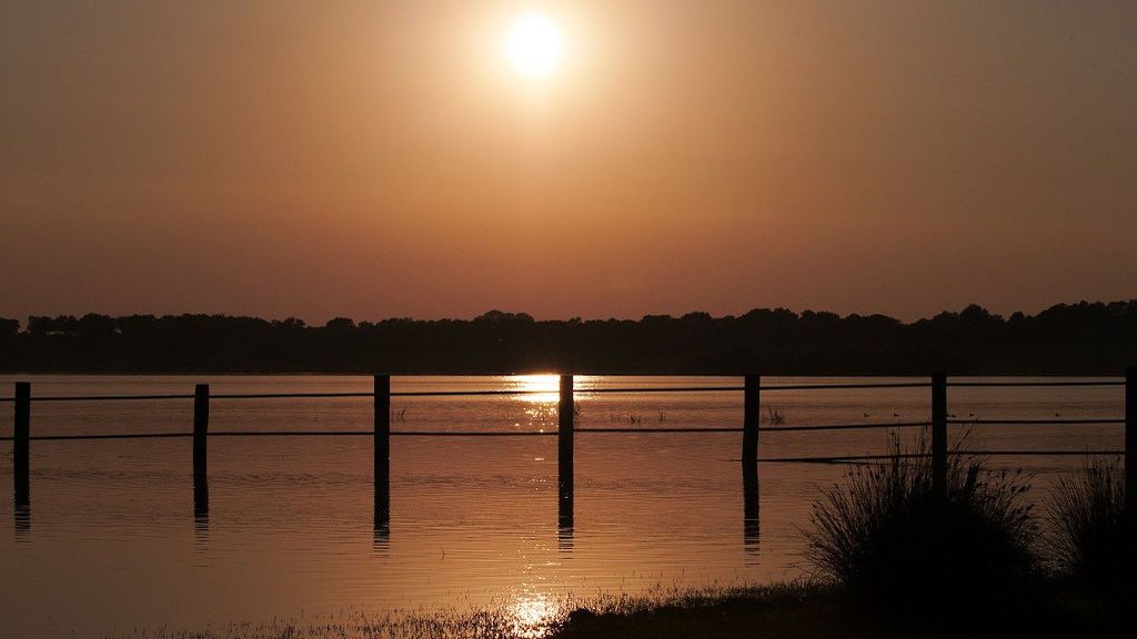 doñana