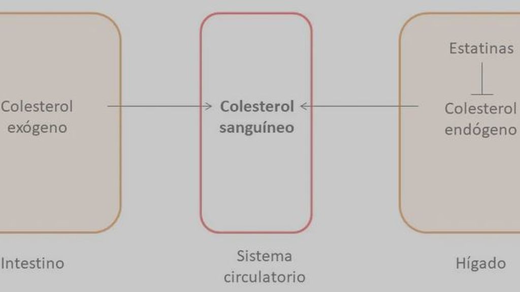 colestrelos conversation