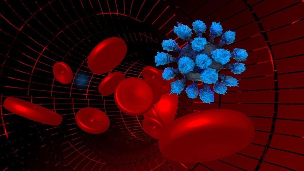 Una investigación confirma que la Covid-19 puede dañar el cerebro, corazón y los riñones Una investigación confirma que la Covid-19 puede dañar el cerebro, corazón y los riñones