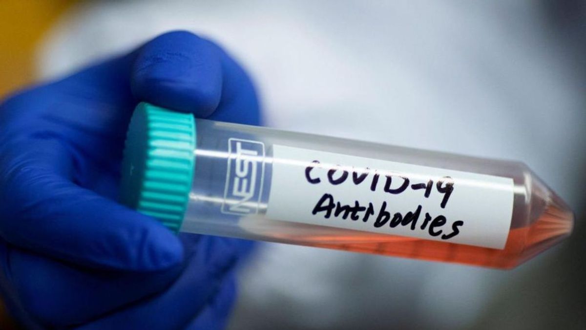 Los anticuerpos de los más enfermos de coronavirus: el remedio para acabar con el virus antes de tener vacuna