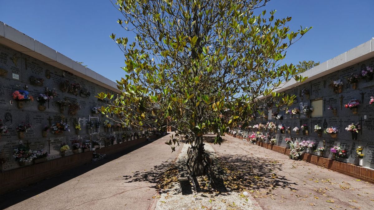 Nichos del Cementerio Sur-Carabanchel de Madrid. Nichos del Cementerio Sur-Carabanchel de Madrid.