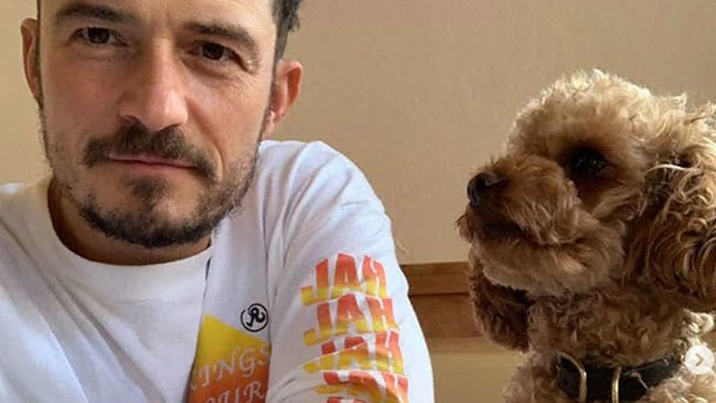 Orlando Bloom homenajea a su perro desaparecido: “He llorado más esta semana de lo que creía posible” Orlando Bloom homenajea a su perro desaparecido: “He llorado más esta semana de lo que creía posible”