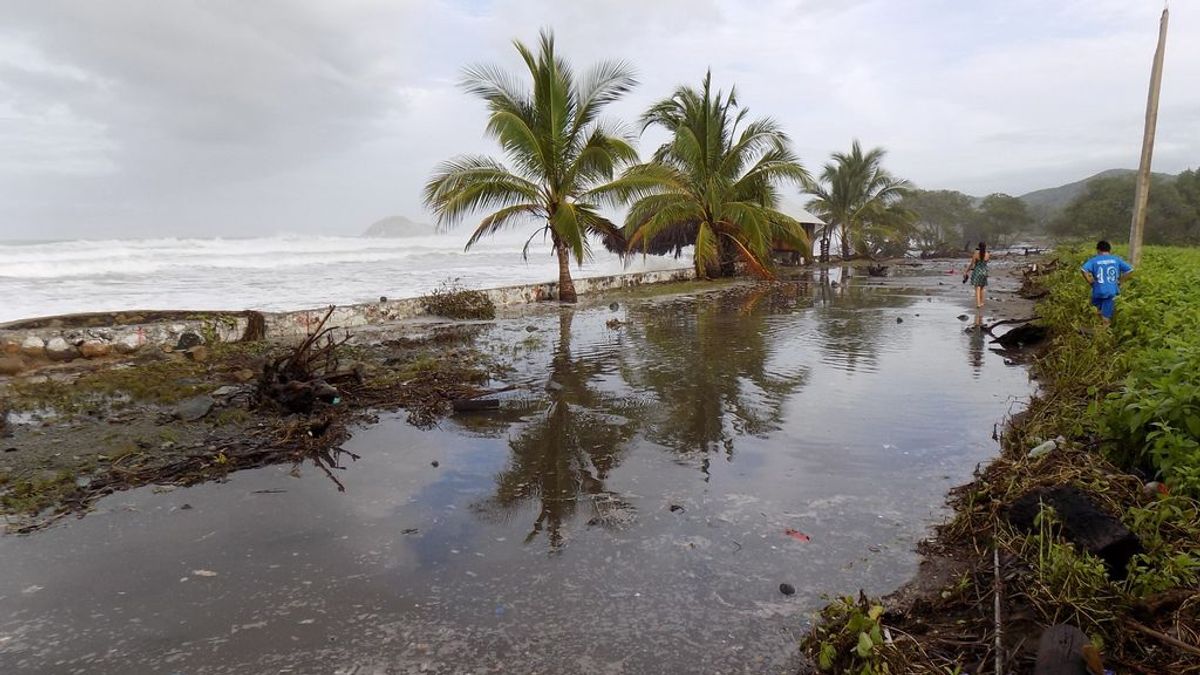 Tormenta tropical Gonzalo, dirección al Caribe: el Centro de Huracanes activa la alarma en Barbados