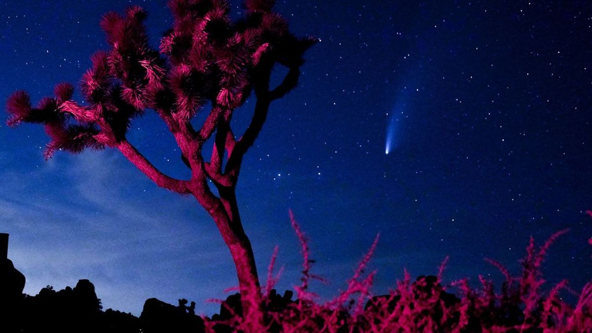 El cometa Neowise estará más cerca que nunca de la Tierra este jueves