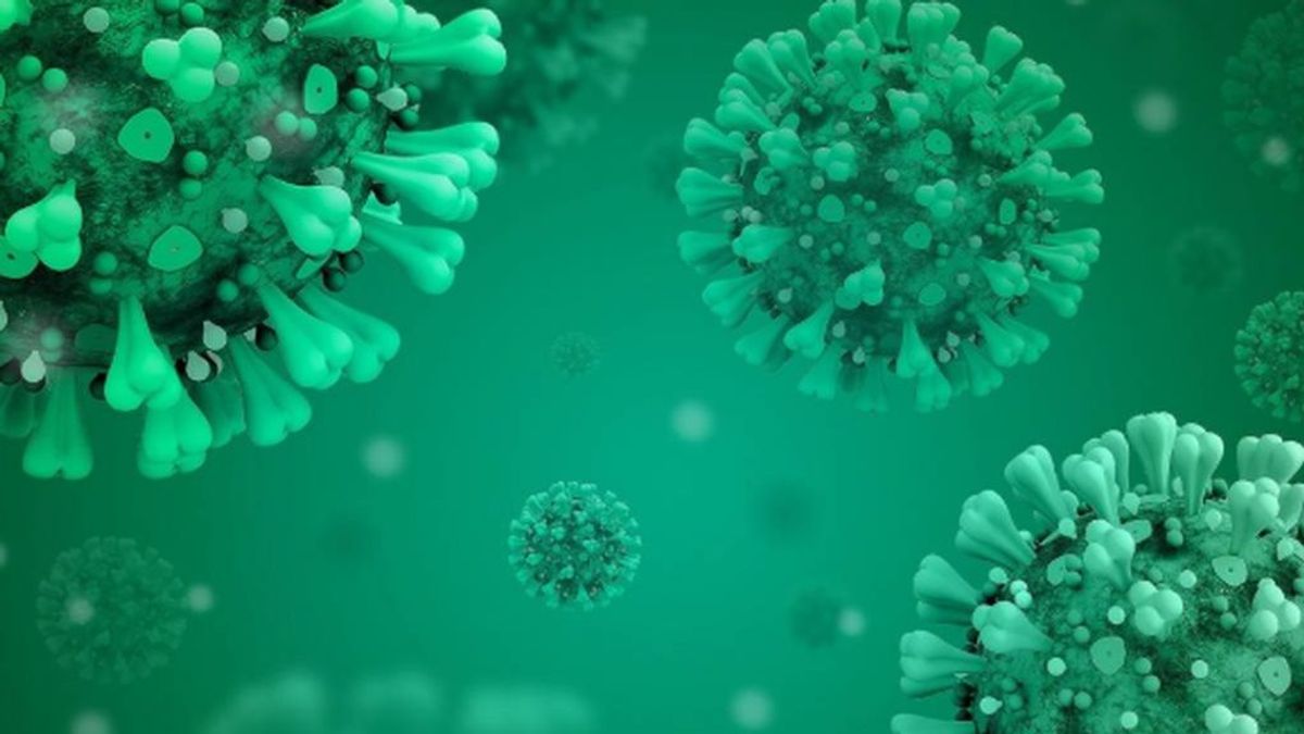Científicos españoles dan con una clave para atacar con antivirales al coronavirusCie