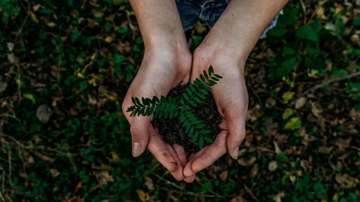 6 cosas que puedes hacer para cuidar el medio ambiente en verano