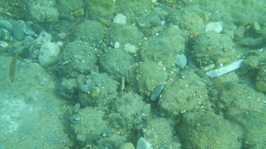 Las 25 balas de cañón halladas por Jean Castera en la costa dianense Las 25 balas de cañón halladas por Jean Castera en la costa dianense