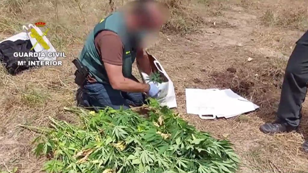 Marihuana en el Pisuerga