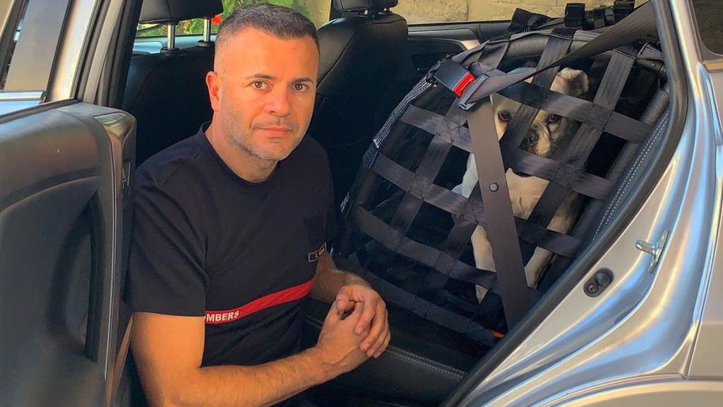 Consejos para viajar en coche con nuestro perro: dónde y cómo llevarlo con seguridad Consejos para viajar en coche con nuestro perro: dónde y cómo llevarlo con seguridad
