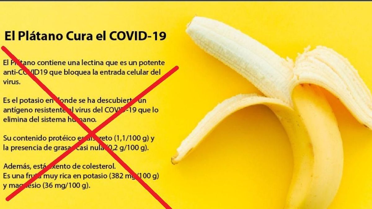No, el plátano no cura el coronavirus: es otro de los bulos que circulan por las redes sociales