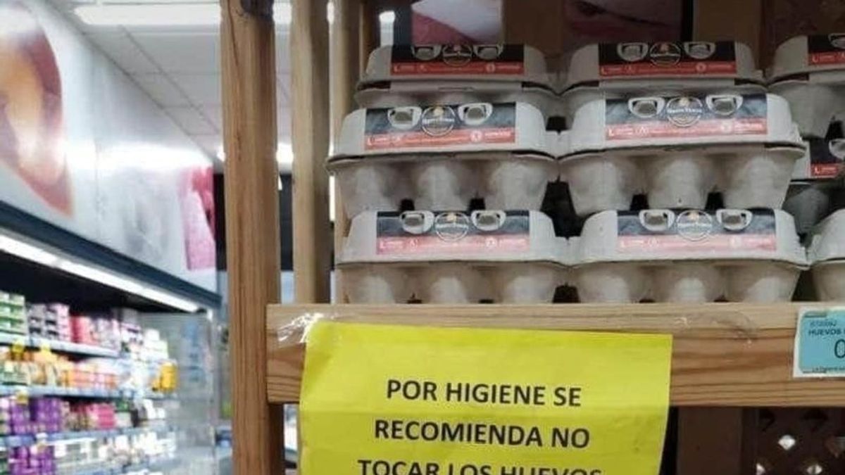 Cartel huevos