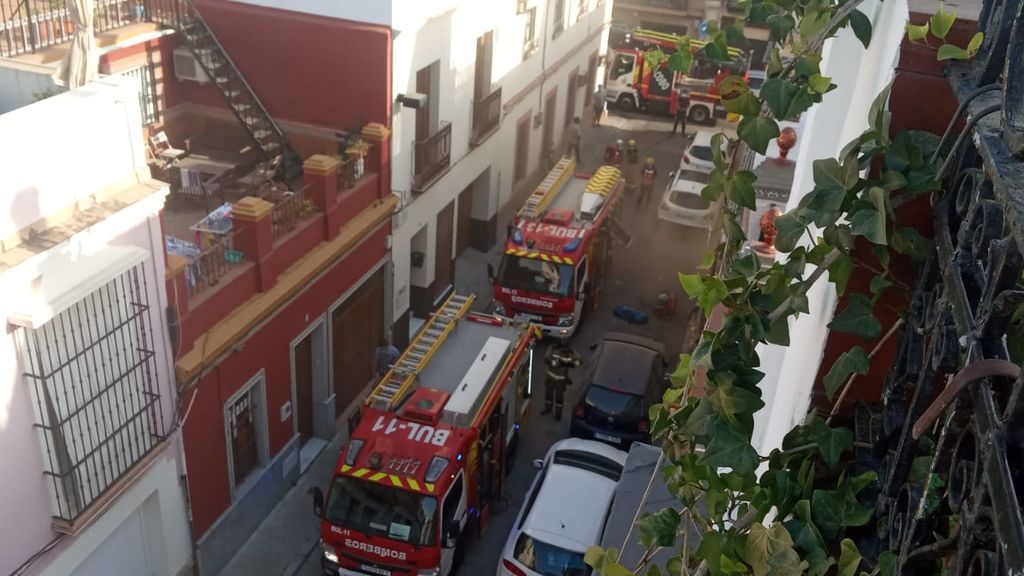 Detenido tras usar la tarjeta de crédito de una mujer a la que estranguló y quemó en su casa de Sevilla Detenido tras usar la tarjeta de crédito de una mujer a la que estranguló y quemó en su casa de Sevilla
