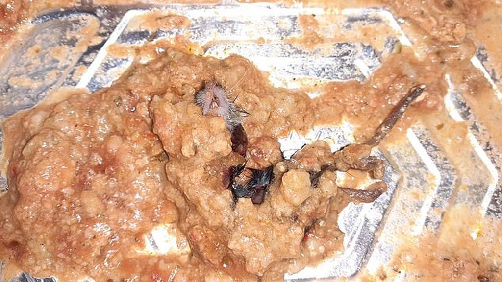 Un ratón muerto enterrado en la salsa de un plato preparado