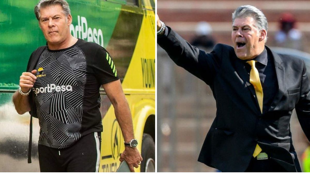 Los comentarios racistas de un entrenador belga sobre los aficionados africanos: "Son como monos y perros” Los comentarios racistas de un entrenador belga sobre los aficionados africanos: "Son como monos y perros”