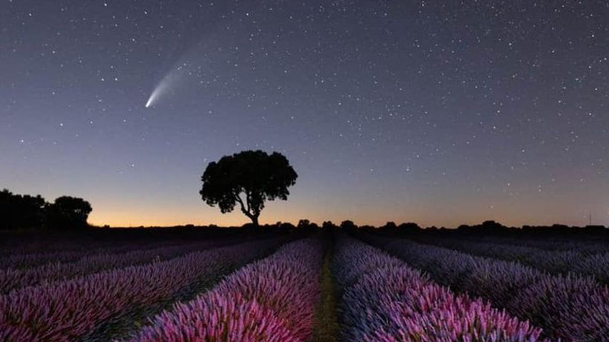 Campos de lavanda de Brihuega y Neowise: las instantáneas que deja el cometa más visible de 2020