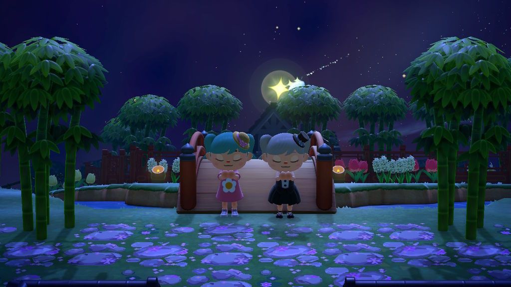 Animal Crossing: New Horizons