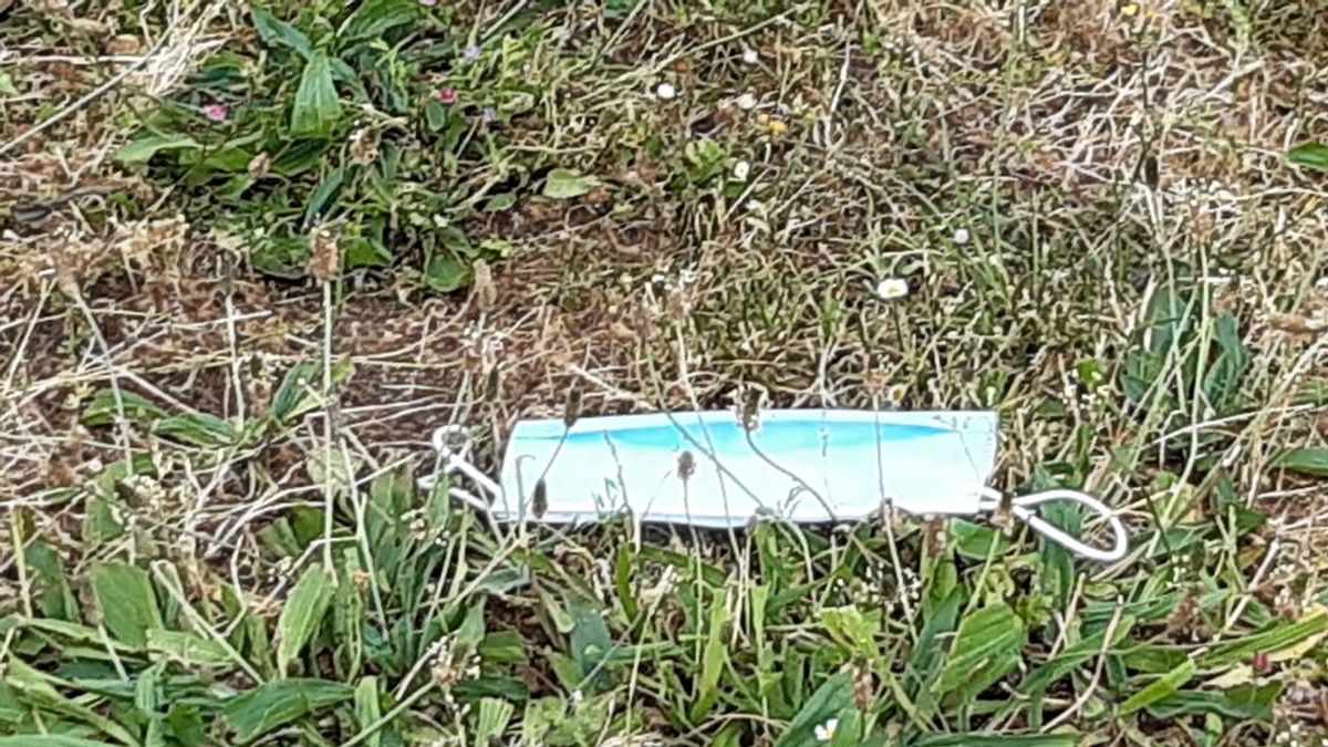Mascarillas abandonadas y otros objetos cotidianos que tardan cientos (o miles) de años en desaparecer Mascarillas abandonadas y otros objetos cotidianos que tardan cientos (o miles) de años en desaparecer