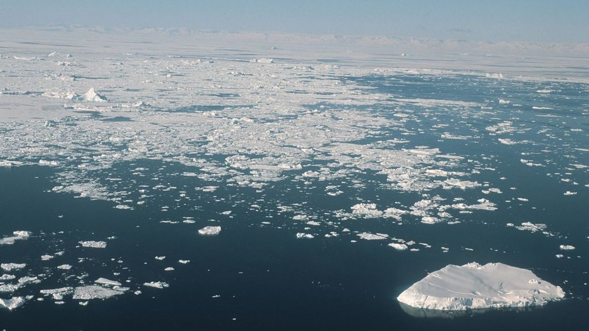 Al hielo marino estival del Ártico le quedan 30 años: por qué se derrite y qué efecto tendrá en la Tierra