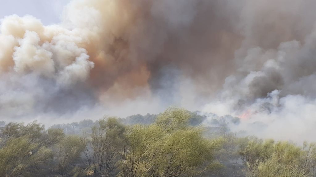 Un incendio forestal en Huelva obliga a evacuar campamentos Un incendio forestal en Huelva obliga a evacuar campamentos