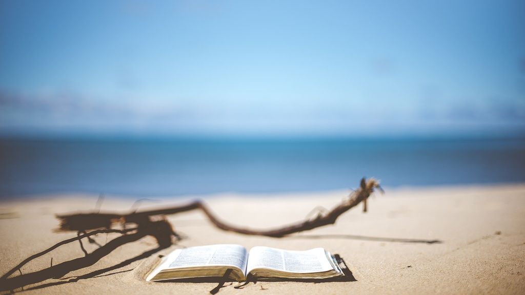 Imaginación al poder: libros para traer el mar a la ciudad en el verano más extraño