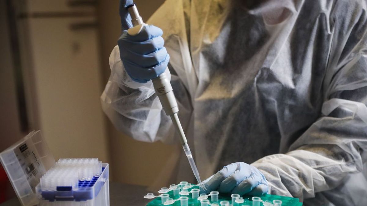 Promover la inmunidad 'de rebaño' contra el coronavirus causaría 400.000 muertos, según un epidemiólogo
