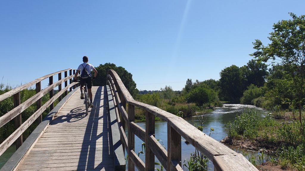 Localizan a una niña que había desaparecido en el río Turia arrastrada por la corriente Localizan a una niña que había desaparecido en el río Turia arrastrada por la corriente