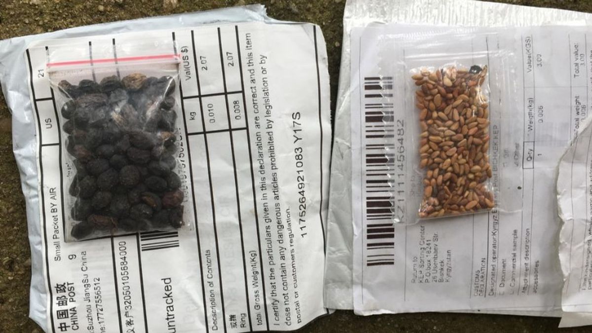 Identifican las semillas que recibieron ciudadanos de EEUU enviadas desde China