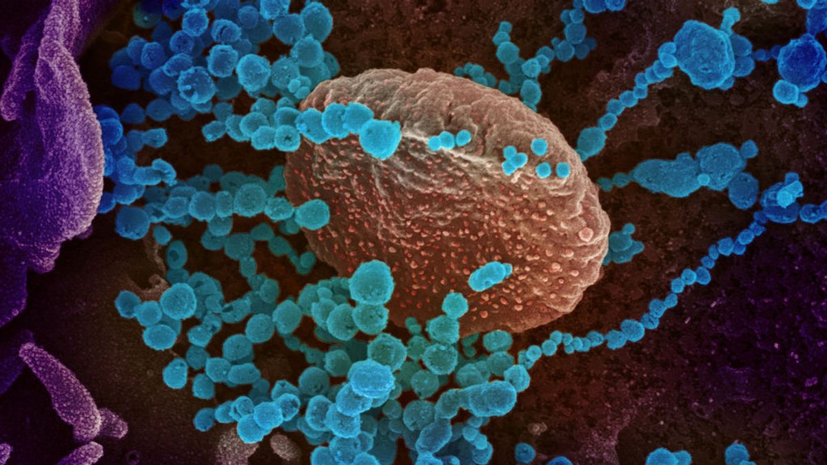 Unos científicos de Estados Unidos descubren "una de las cosas más extrañas del nuevo coronavirus"