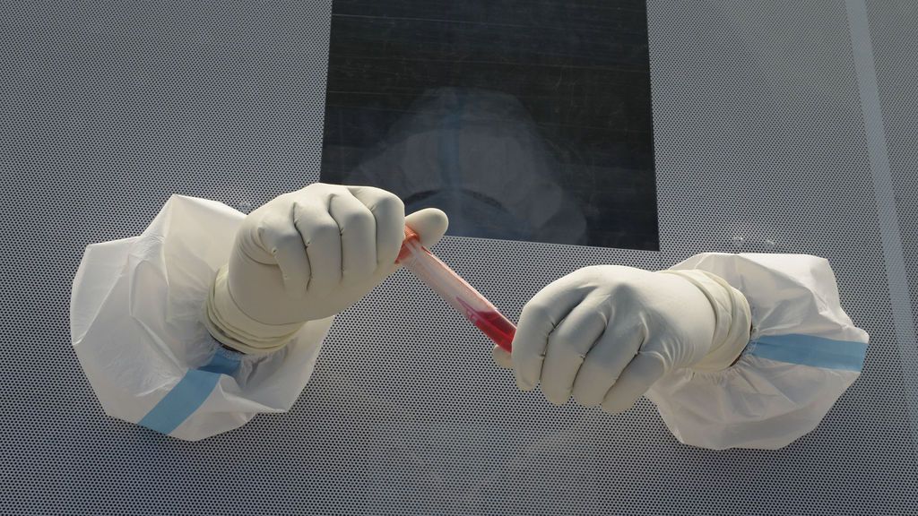 La propuesta de un profesor de Harvard para acabar con el coronavirus en tres semanas La propuesta de un profesor de Harvard para acabar con el coronavirus en tres semanas