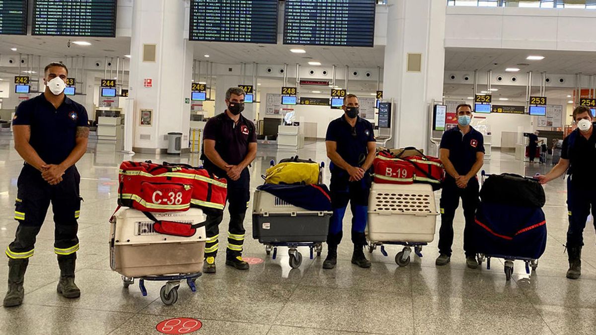 Bomberos al rescate de Beirut, varados en Málaga: "No nos han dejado volar con los perros por la COVID" Bomberos al rescate de Beirut, varados en Málaga: "No nos han dejado volar con los perros por la COVID"