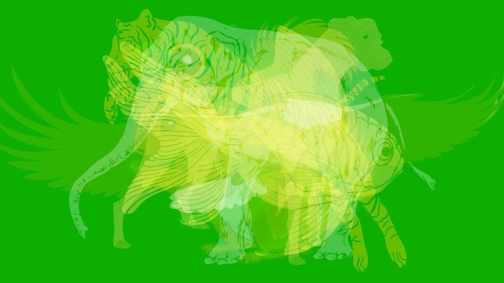 Test de personalidad: el primer animal que se identifica tiene relación con un rasgo de la personalidad