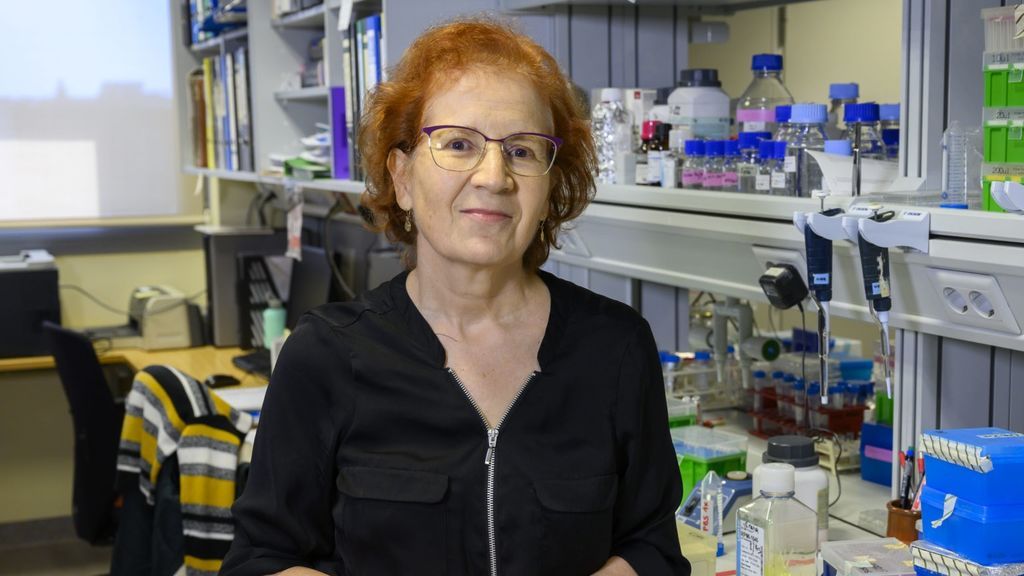 Margarita del Val, viróloga, sobre los rebrotes: "España está ya en una segunda ola" Margarita del Val, viróloga, sobre los rebrotes: "España está ya en una segunda ola"