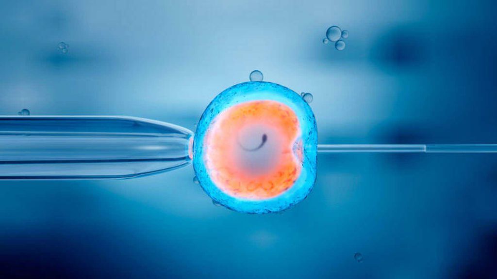 La Fecundación in Vitro (FIV) es una de las técnicas de reproducción asistida más exitosa.