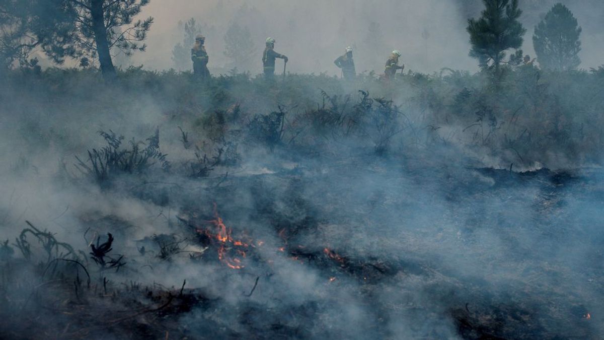 El incendio de Lobios (Ourense), en el que murió un piloto, sigue activo y afecta ya a 350 hectáreas El incendio de Lobios (Ourense), en el que murió un piloto, sigue activo y afecta ya a 350 hectáreas