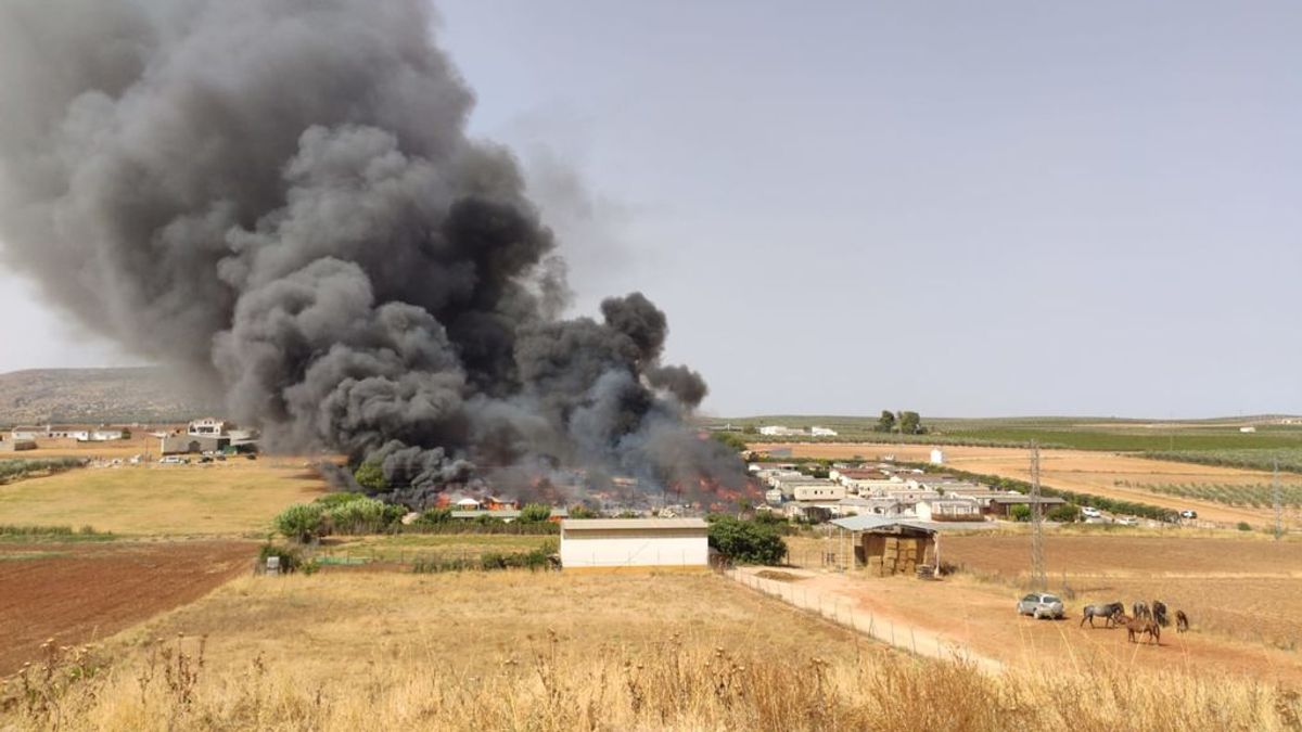 Declarado un incendio en un camping en Mollina que obliga a evacuar a 90 personas Declarado un incendio en un camping en Mollina que obliga a evacuar a 90 personas