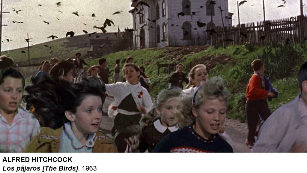 'Los pájaros' de Alfred Hitchcock.