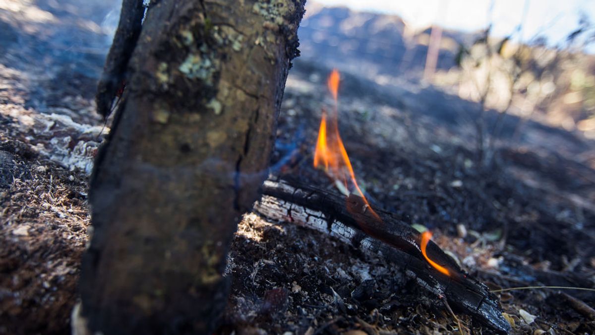 A pesar de los incendios, se ha reducido un 60 % la superficie quemada en España respecto a 2019