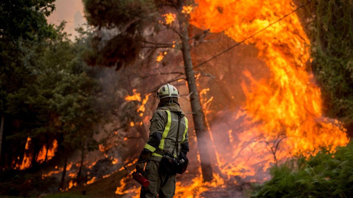 Registran un atípico 'tornado de fuego' en un incendio en Galicia Registran un atípico 'tornado de fuego' en un incendio en Galicia