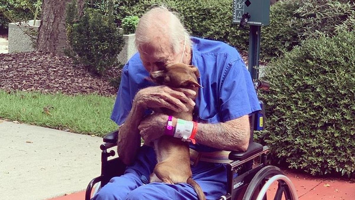 Un anciano de 86 años sufre un derrame cerebral y se salva gracias a su chihuahua