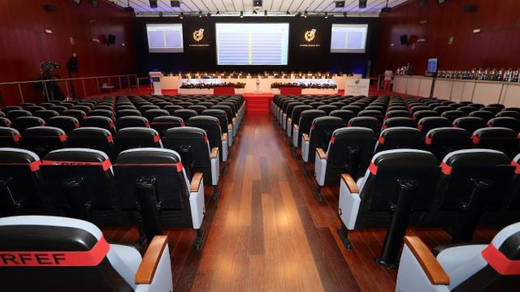asamblea rfef
